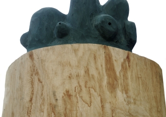 Rafail_Georgiev_Dissolving-wood-2