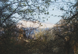 „OZONA В РОТОНДАТА“